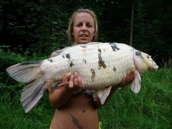 girls fishing 3 - 430124641642959196848152170858n.jpg